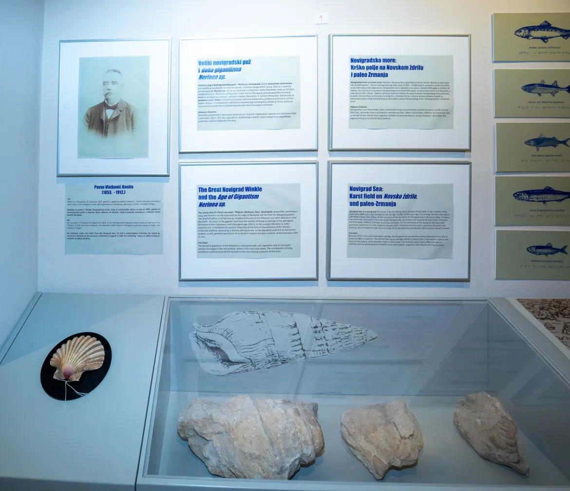 Palaeography