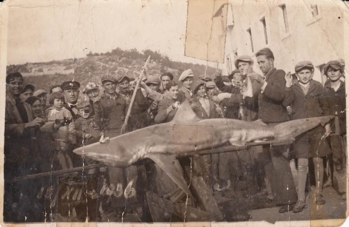 Vremeplov ribarstvo